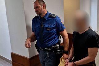 Je to predátor, pedofil, který loví děti, potvrdil soud. A zkrátil mu trest - Novinky